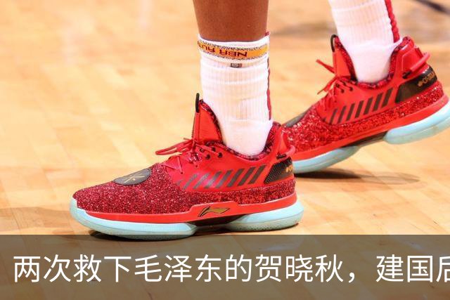 两次救下毛泽东的贺晓秋，建国后其子赴京求见，主席赐下两项特权