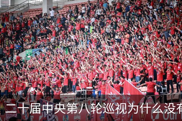 二十届中央第八轮巡视为什么没有公布巡视组名单和联系方式？