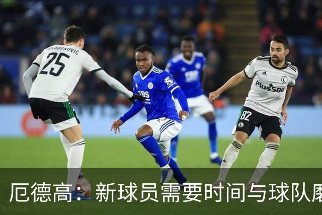 厄德高：新球员需要时间与球队磨合，我们每周都在变得更好