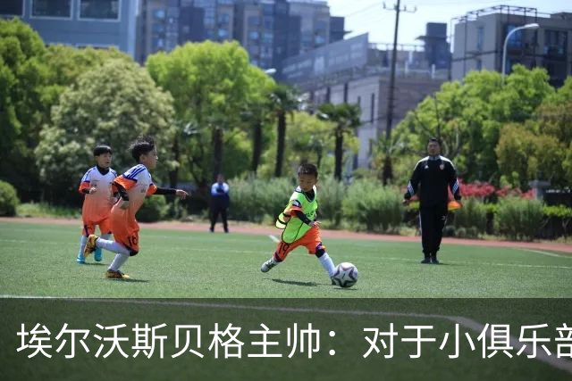 埃尔沃斯贝格主帅：对于小俱乐部国际比赛日带来的伤病难弥补