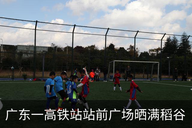 广东一高铁站站前广场晒满稻谷“治愈风”拉满，当地回应：不影响运行即可晾晒