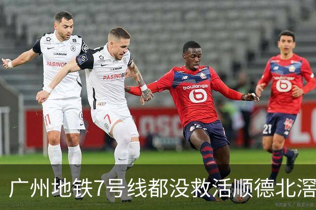 广州地铁7号线都没救活顺德北滘？房价从3万2跌回1万3的残酷账本