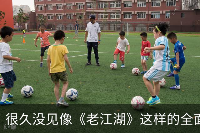 很久没见像《老江湖》这样的全面的烂片了