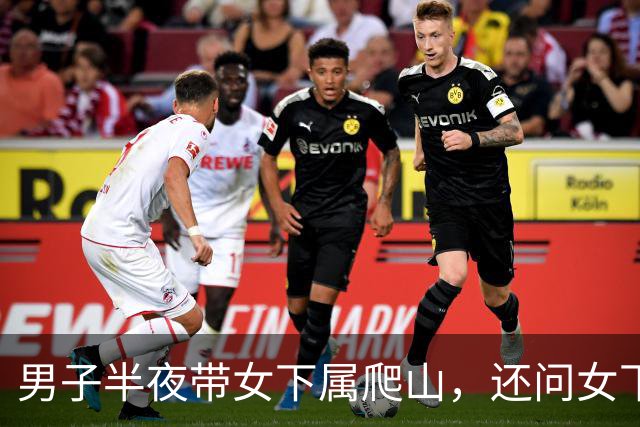 男子半夜带女下属爬山，还问女下属：你丈夫晚上给你“交作业”吗