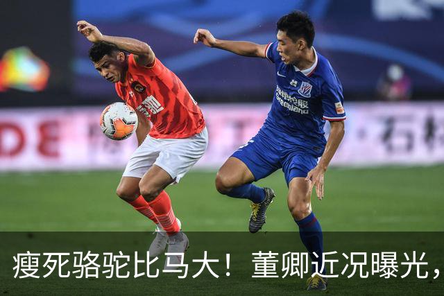 瘦死骆驼比马大！董卿近况曝光，出门坐高级保姆车，豪门梦没破碎
