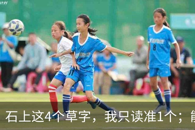 石上这4个草字，我只读准1个；能全认出的，肚子里必有真学问。另想请教：原稿里极细的牵丝，刻到石头上，还能留住原来的笔意吗？