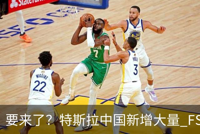 要来了？特斯拉中国新增大量 FSD 功能和图标