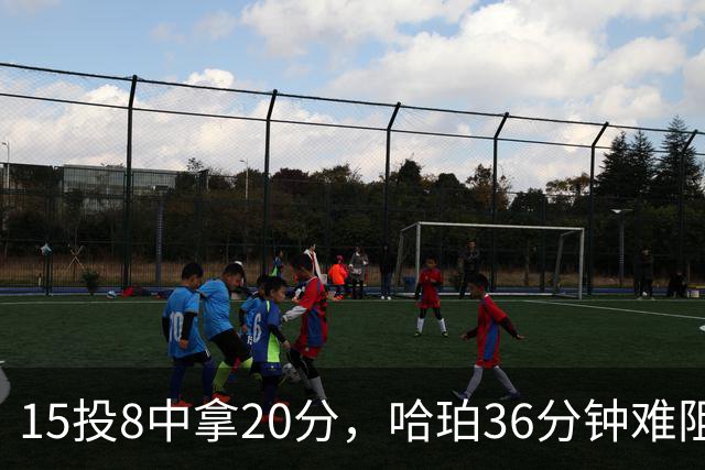 15投8中拿20分，哈珀36分钟难阻马刺110比114惜败