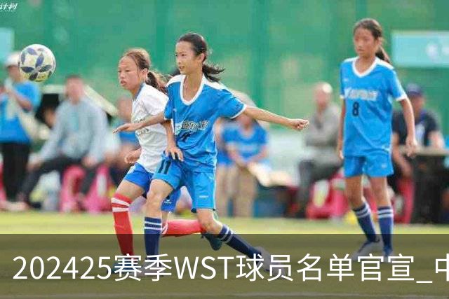 2024/25赛季WST球员名单官宣 中国军团共26人出战
