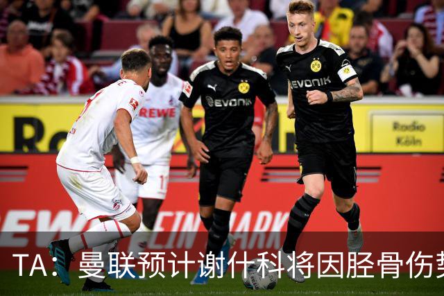 TA：曼联预计谢什科将因胫骨伤势至少缺阵至明年1月
